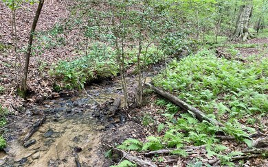 Additional View