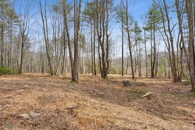 00 Arundel Rd, Kennebunkport, ME 04046 - photo 2