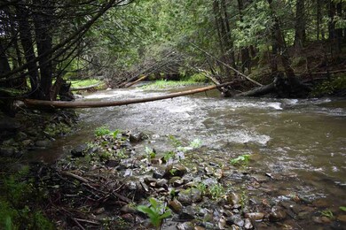 00 Chamberlain Hill, Albany, VT 05820 - photo 3