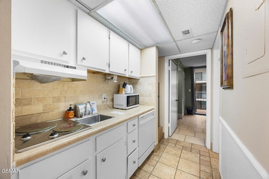 685 River Rd unit 203, Gatlinburg, TN 37738 - photo 4