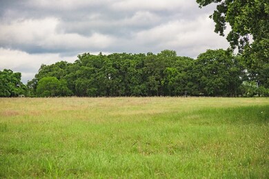 1035 Hollmig Ln, Fredericksburg, TX 78624 - photo 3