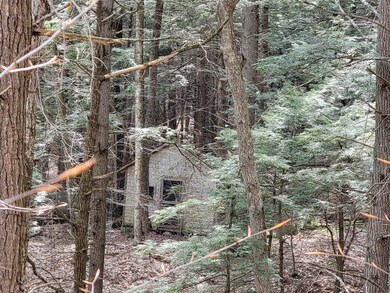 0 Nh Route 123a, Acworth, NH 03601 - photo 6