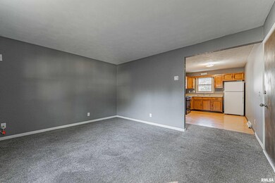 102 E 8th St, Delavan, IL 61734 - photo 3