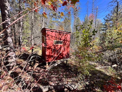 0 Right of Way Rd, Beecher, WI 54156 - photo 2