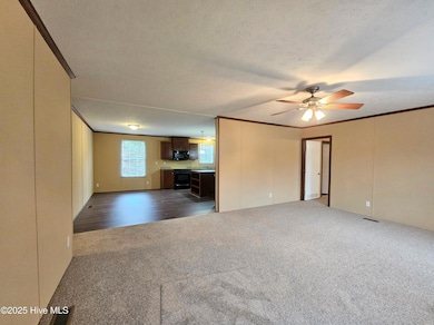 97 Lacewell St, East Arcadia, NC 28456 - photo 3