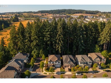 Drone View/UAV