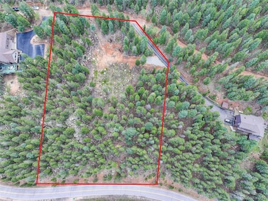 11275 Bear Run Trail, Conifer Mountain & Meadows, CO 80433 - photo 5