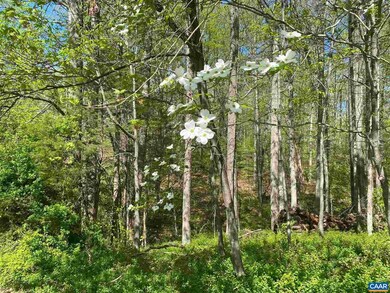 0 Milton Dr unit 615250, Milton, VA 22947 - photo 5