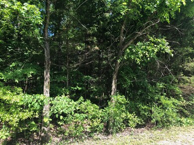 Lot 319 Tomahawk Heights, Shell Knob, MO 65747 - photo 2