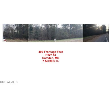 445 Frontage