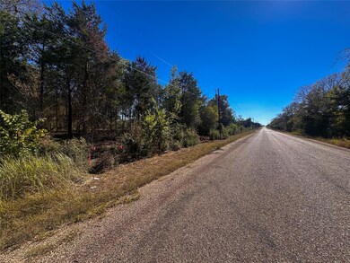 Lot 9D Foothill Rd, Camp Swift, TX 78602 - photo 4