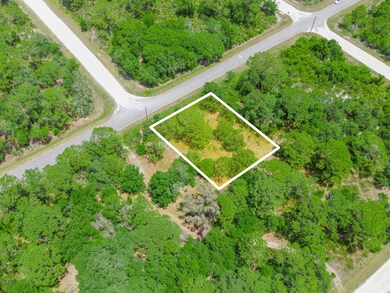 1210 Archie Summers Rd, Placid Lakes, FL 33852 - photo 5