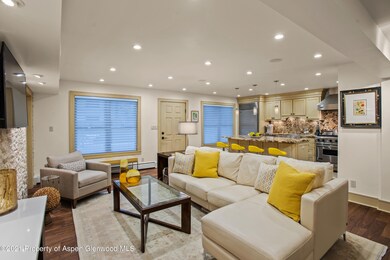 1020 E Durant Ave unit 103, Aspen, CO 81611 - photo 3