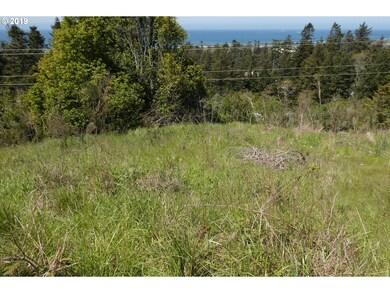 29685 Bear Mountain Rd unit 700, Gold Beach, OR 97444 - photo 6
