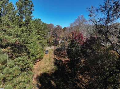 01 Blair Rd, Laurens, SC 29360 - photo 4