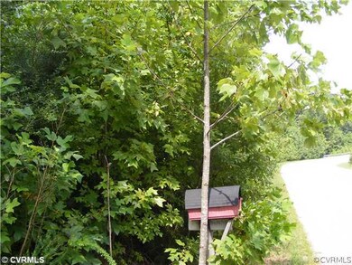 13100 Pole Run Rd, Disputanta, VA 23842 - photo 2