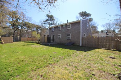back yard 2