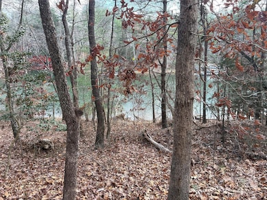 1299 Northview Dr, Morganton, NC 28655 - photo 3