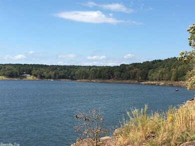 50 Carter Ln, Tumbling Shoals, AR 72581 - photo 2