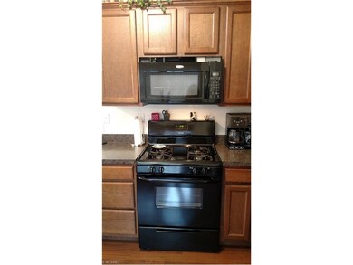 1013 Aqua Marine Blvd unit 51, Avon Lake, OH 44012 - photo 3