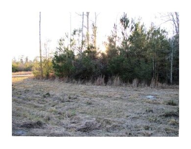 Land/Lot. View of Bedico Trace Bl side of lot towa