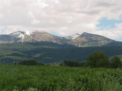 Snowcrest Rch. Summer 06 029
