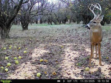 1 Co Rd, Larned, KS 67550 - photo 4