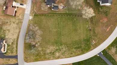 219 Crabtree Ln, Bowling Green, KY 42103 - photo 7