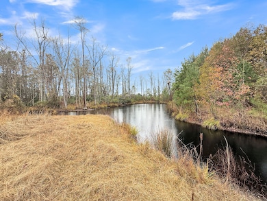 1613 Cavanaugh Rd, Ritter, SC 29488 - photo 3