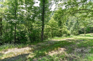 Lot 13 the Vines Blvd unit Lot 13, Marshall, NC 28753 - photo 2