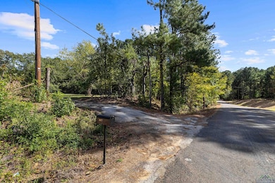 4024 Harley Ridge Rd, Longview, TX 75604 - photo 5