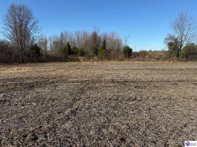 230 Owl Creek Dr, Vine Grove, KY 40175 - photo 4