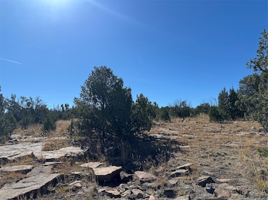 158.81 Off B27a, Serafina, NM 87569 - photo 5