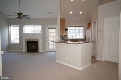 12461 Hayes Ct unit 302, Fairfax, VA 22033 - photo 4