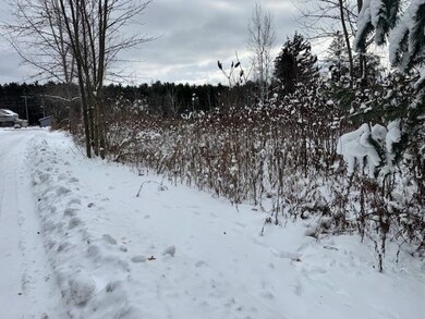 V/L W Caro Rd, Indianfields Township, MI 48723 - photo 7