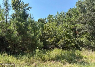 0 Winding Way Dr, Pass Christian, MS 39571 - photo 4