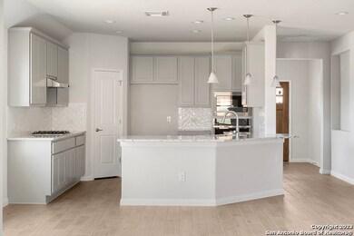 4029 Arena Blanca, San Antonio, TX 78261 - photo 7
