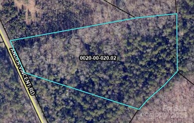 A2 Ander Vincent Rd, Indian Land, SC 29707 - photo 2