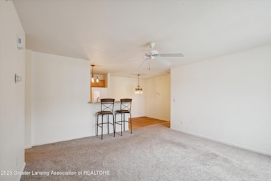 12948 Townsend Dr unit 611, Grand Ledge, MI 48837 - photo 6