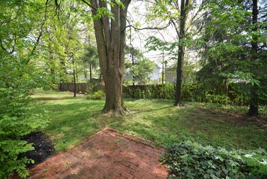 Rear Yard