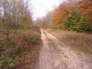 Maple Forest Dr