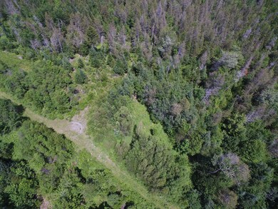 DJI_0513
