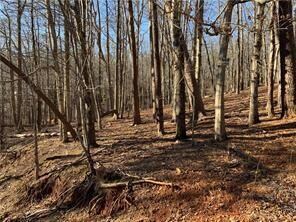 View of undeveloped land