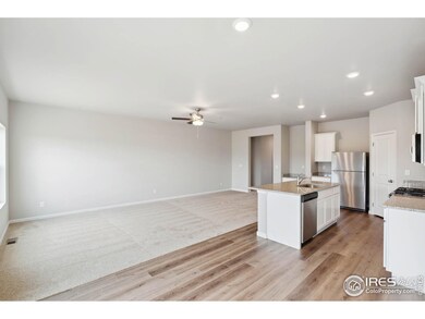 964 Cascade Falls St, Severance, CO 80550 - photo 6