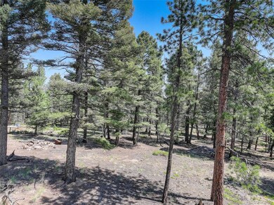 1002 Indian Creek Rd unit R0011770, Florissant, CO 80816 - photo 7