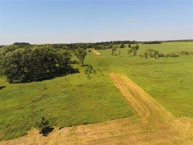 65.03 Dicks Rd, Orange, WI 54618 - photo 2