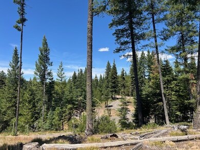 25 Sawtooth Loop unit Lot 25, Cascade, ID 83611 - photo 4