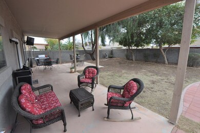 Covered Patio & Yard