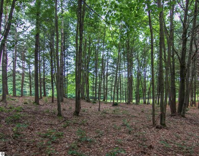 0000-Unit 39 Trailside Dr, Weldon Township, MI 49683 - photo 3