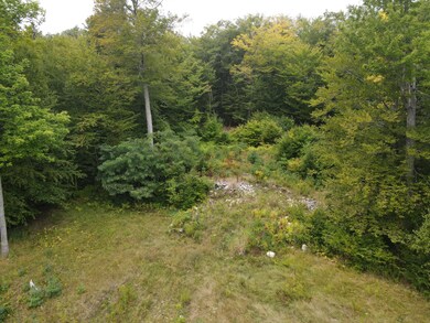 67 Island View Dr, Greene, ME 04236 - photo 4